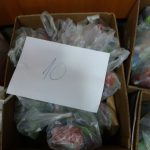 IMG-20171220-WA0050