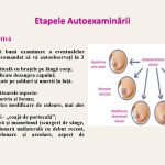 Slide8