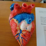 DSC09860
