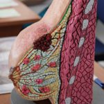 IMG_9160